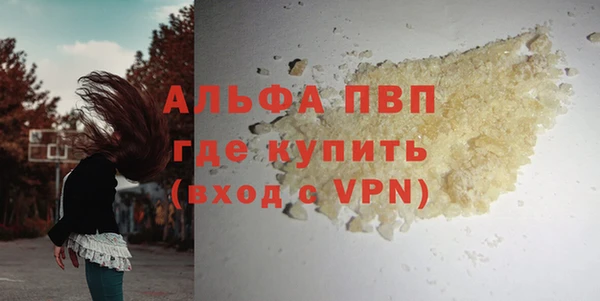 сатива Богородицк