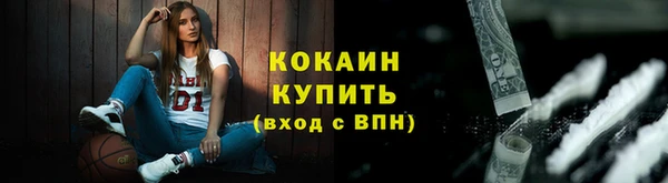 прущие грибы Навашино