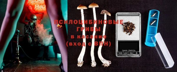 сатива Богородицк