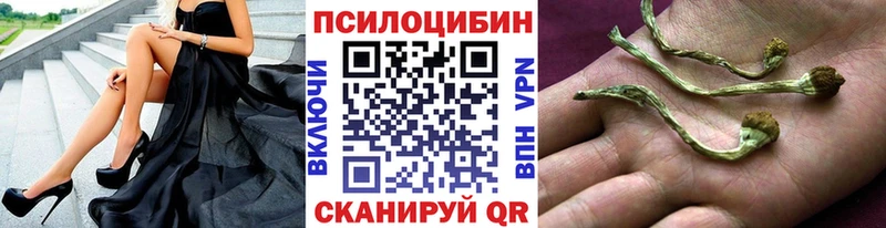 где купить наркоту  Бокситогорск  Галлюциногенные грибы мухоморы 